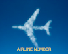 AIRLINE NUMBER
